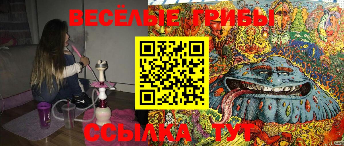 Галлюциногенные грибы Psilocybine cubensis Кингисепп