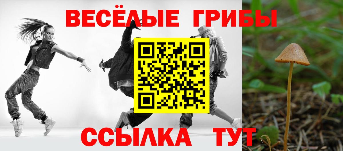 Кингисепп  Галлюциногенные грибы ЛСД  Вход с VPN 