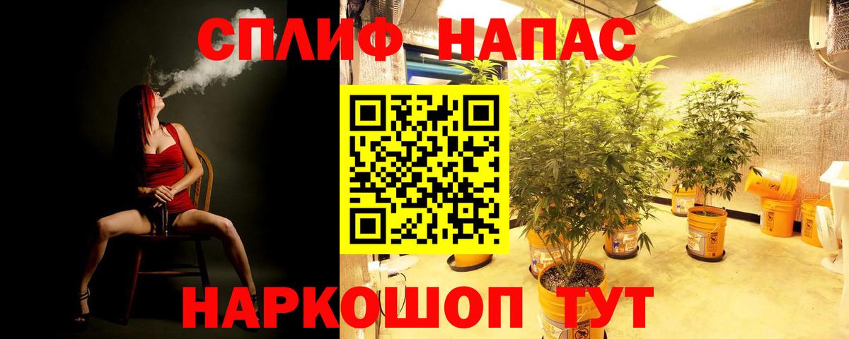 Шишки марихуана семена  Вход с VPN  Бошки марихуана тримм  МАРИХУАНА VHQ  Кингисепп  Шишки марихуана план 